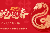 辭舊迎新，蛇舞華章丨深圳容金科技全體員工祝您新春快樂！
