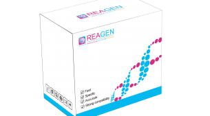 對蝦桿狀病毒（BP）DNA恒溫核酸檢測試劑盒（不含提?。? height='100'>
			</a>
		</figure>
		<h4 class=