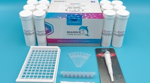 氯霉素免疫膠體金快速檢測(cè)卡